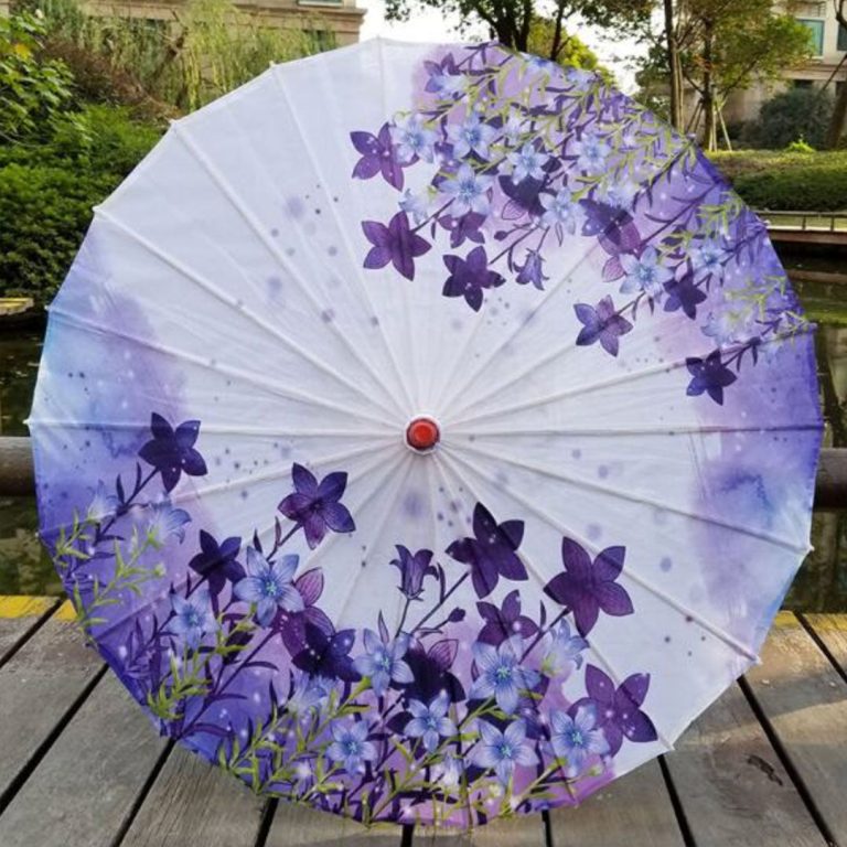 Dames Parasol Japans